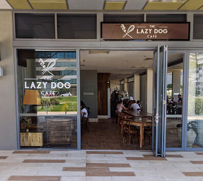 The Lazy Dog